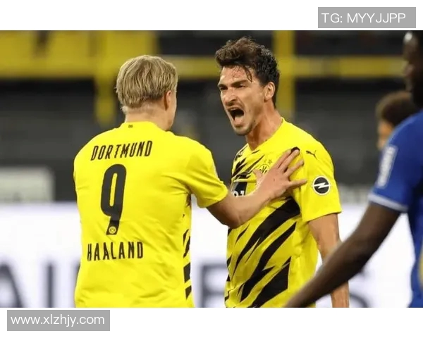 沙尔克04新帅掌舵期待重返巅峰 沙尔克04新帅掌舵期待重返巅峰